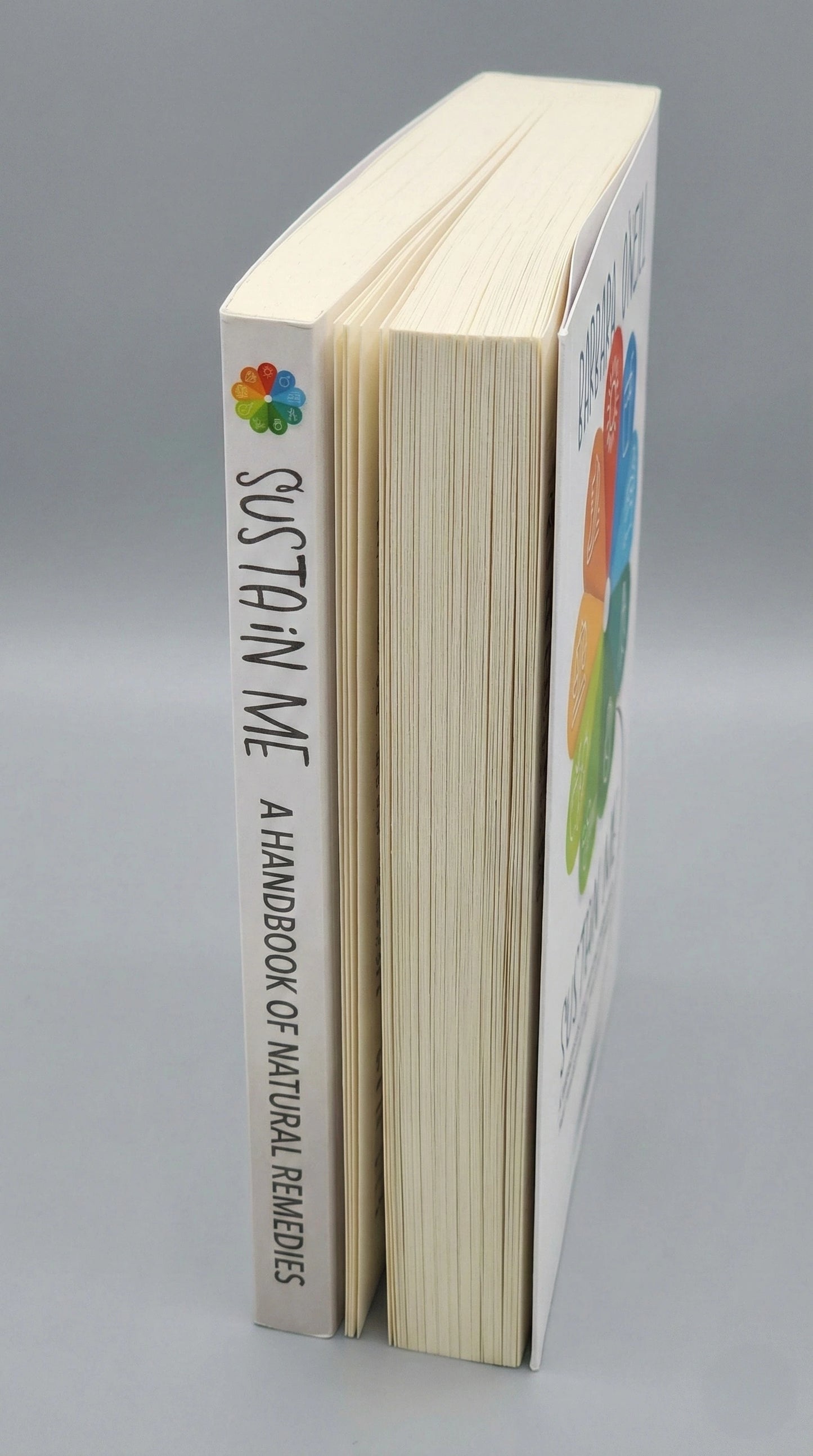 Back cover of Sustain Me book by Barbara O’Neill holistic health handbook